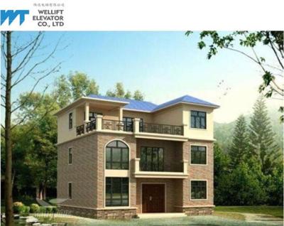 320 / 400Kg Home Passenger Lifts , Energy Saving Elevators For Villas Speed 0.4 M/s