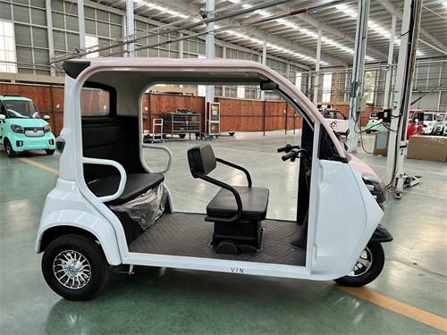 1000W Three Wheel Electric Tricycle Road Legal Electric Trike Moped For Adults