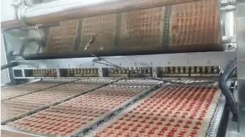 Linha de produção de goma de maçã pura 100 kg/h Linha de produção de goma de geléia de frutas doces Homologação CE