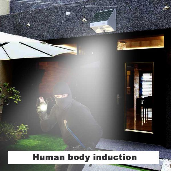 Animal Surveillance Solar Charger 24MP IP66 Outdoor Security Camera