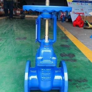 Flange Metal Seat Gate Valve 10" Customized Ductile Iron Valve