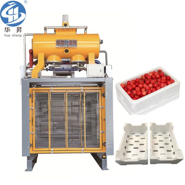 Compound Die EPS Vegetable Box Making Mould with Customized Design 60-180s Cycle Time