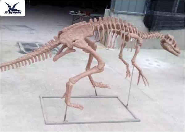 Amusement Park Facility Life Size Dinosaur Skeleton Replica Artificial Replica Model