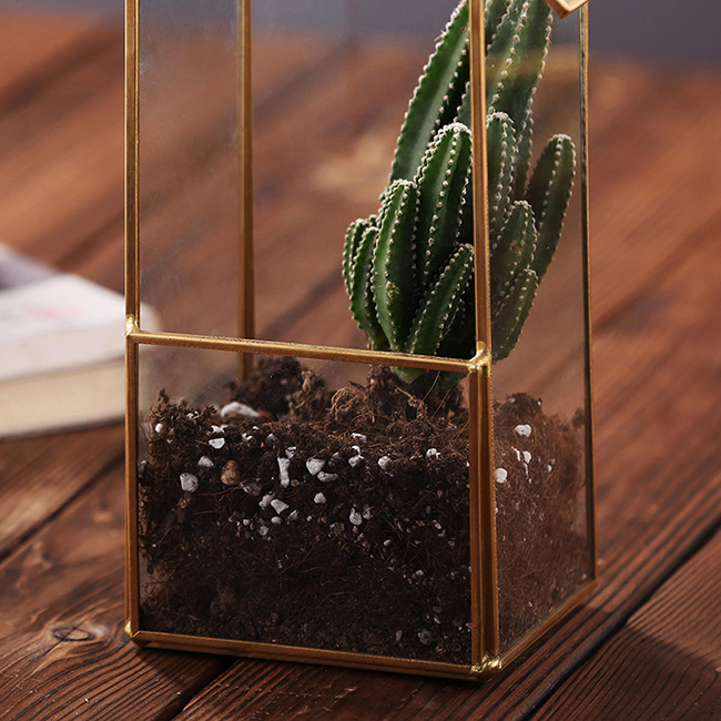 House Shaped Geometric Succulent Terrarium , Jewelry Holder Air Plant Container