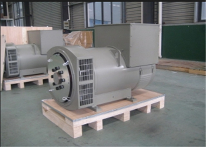 Одновременный тангаж 2/3 головки 42kw 42kva генератора энергии AC одиночной фазы