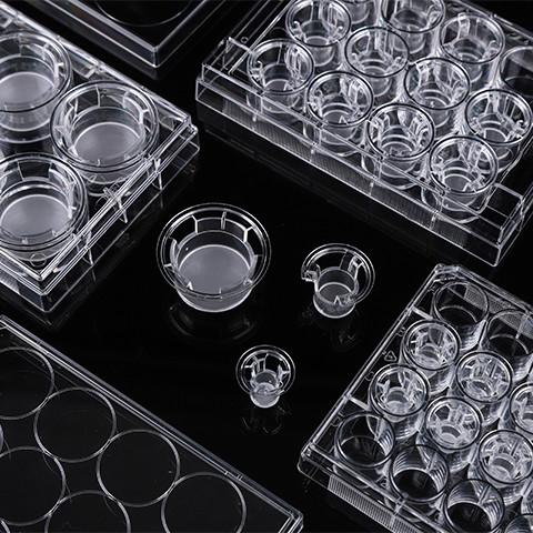 Cell Insert Multiple Well Plate 24mm PCR Laboratory
