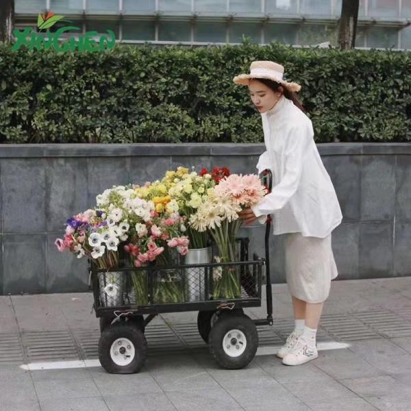 Foot Brake Steel Garden Mesh Cart For Heavy Duty Transport And Hauling In Garden
