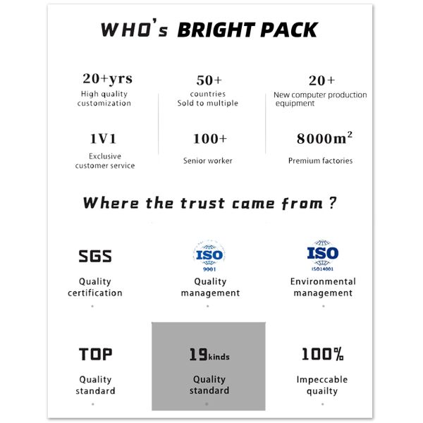 Производитель ПЭТ упаковка пищевых продуктов плоский дно Zipper пластиковый пакет для собак