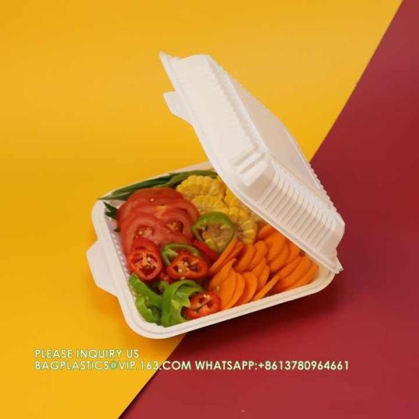 Wholesale 8 Inch Degradable Snap Button Clamshell Lunch Wrapper Bento Box Disposable Food Take Away Packaging