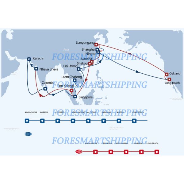 China To Canada Door To Door DDP North America Shipping