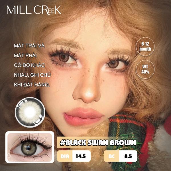 Natural Cosmetic Contact Lenses Millcreek Lenses 14.5mm Diameter In Brown Grey Color