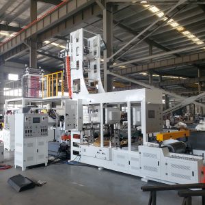 Blown Film Printing Integrated Machine with Inline Gravure Printing System