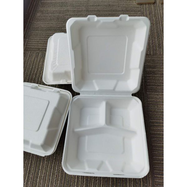 9inch biodegradable disposable clamsell cardboard box 3 compartment fast food takeout packaging box for restaurant