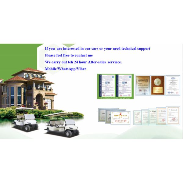 3000 R/Min Rated Speed Electric Golf Carts with CE Certification and Multi Functional