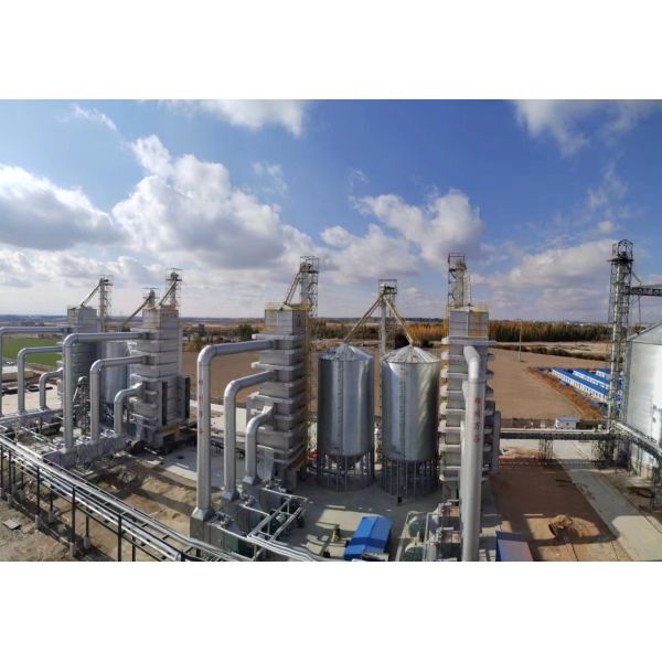 Une machine plus sèche de grain de maïs de maïs avec T/D du certificat de la CE 100 - 1000