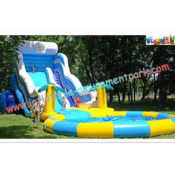 巨大な賃貸料の商業膨脹可能なスライド、大人のための青いスポーツ水スライドのプール