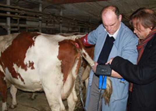 Escáner digital de ultrasonido veterinario