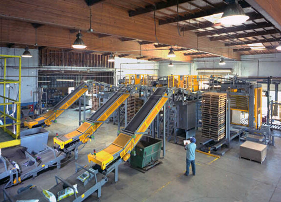 Carton Automated High Level Palletizer Load Holding / Moving Multi - Functional