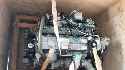 Conjunto de motor diesel de P11C-UP, peças de motor do OEM Hino P11C