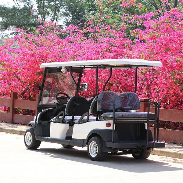 Wholesale 6 Seaters New Energy Golf Cart with 48V Trojan Battry