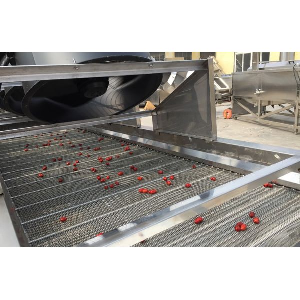 Hotels Industrial Drying Equipment For Fruits And Vegetables Fast Drying