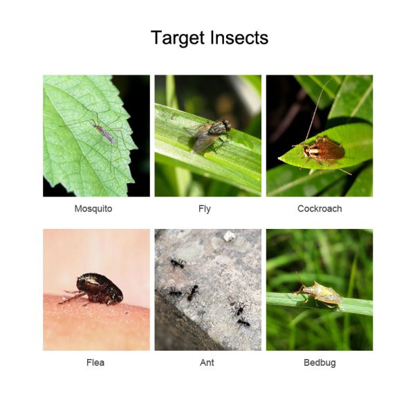 Pyrethrin Internationally Recognized the Safest Pollution-free Natural Insecticide for Mosquitoes Flies Control