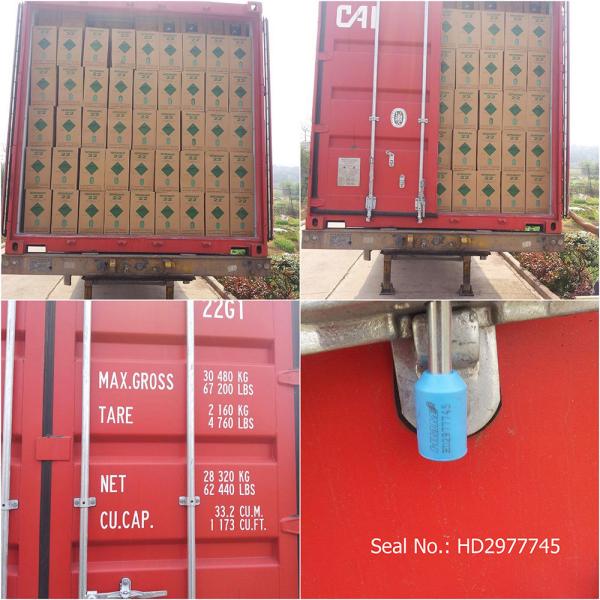 30LB Car Air Conditioner Refrigerant 13.6kg R22 HCFC Refrigerant