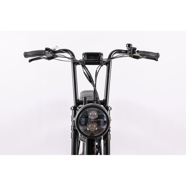 48V 1000W Fat Tyre Adult Electric Bicycle Vintage Mountain E Bike with 20 Inch Wheel