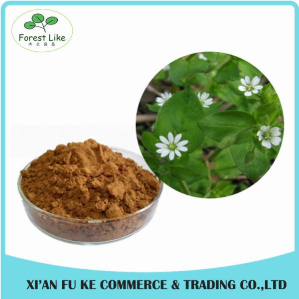 Best Anti- cancer Effect Blushwood Berry Fruit Extract with EBC-46