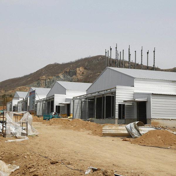 Environmental Controlled Prefab Steel Structure Poultry Chicken Shed