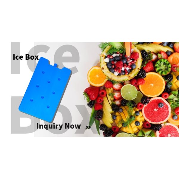 Fresh Refrigerated Thermal Insulation Ice Box Medical Food Plastic Cooling Gel Ice Brick