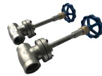 DN25 ao tipo válvula criogênica da flange DN200 da Longo-haste para GNL