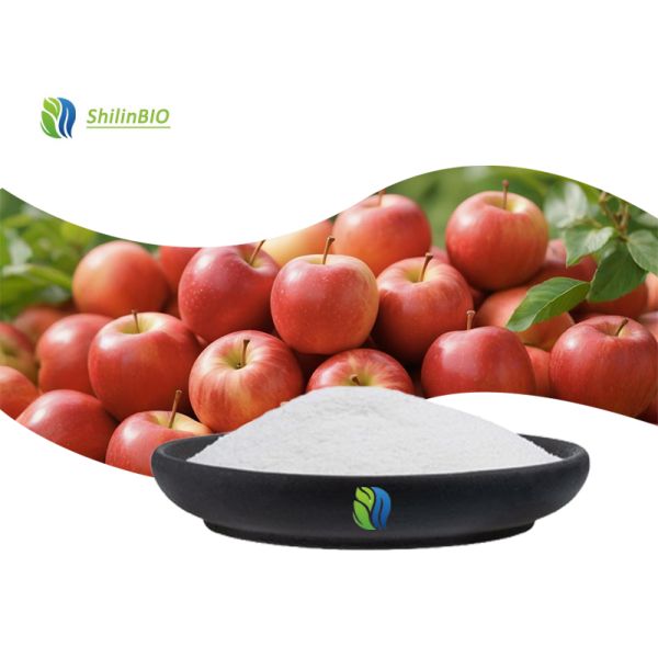 5% 10% Apple Extract  Apple Cider Vinegar Powder