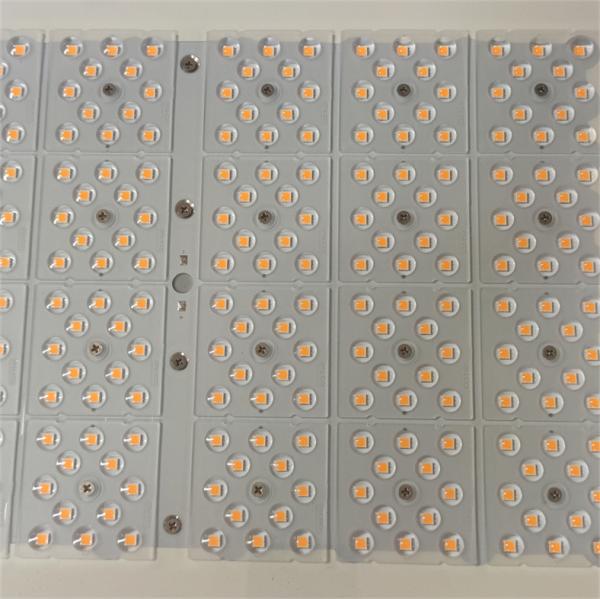 Safety Anti Corrosion IP66 Explosion Proof Lighting