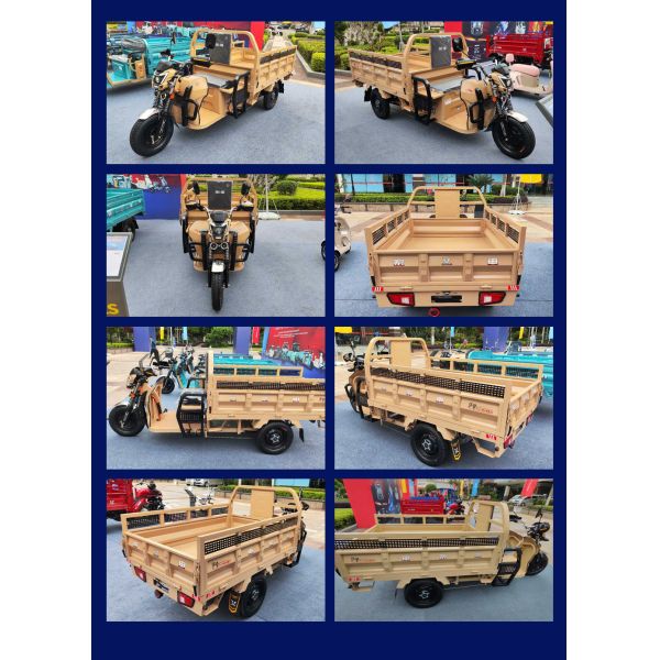 Customized Adult Trike 3-Wheels Motorized Cargo Tricycle for Heavy Duty Transport