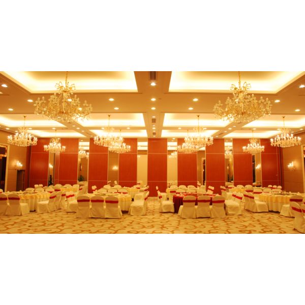 Играйте главные роли цвет системы Мульте разделов панели гостиницы свободный стоящий действующий складывая