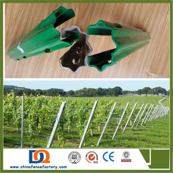 2.4m 2.5m Galvanised Steel Vineyard Posts Substitute Of Cement Posts And Wooden Posts