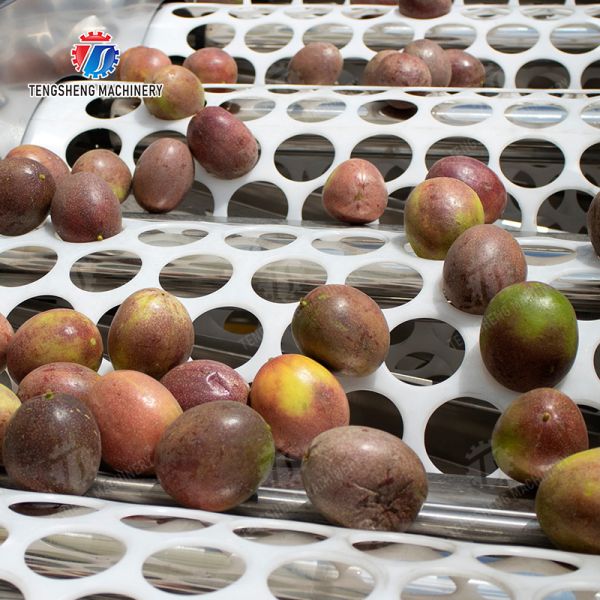 Tangerine passion fruit avocado cherry Mango pear banana mangosteen kiwi fruit Inspecting Grading Transporting processing production Fruit and vegetable sorting machine