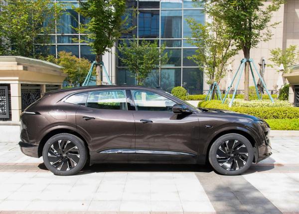 Automobile compétitive 2 roues motrices 5 portes 5 sièges SUV Véhicule électrique Pure New Energy Car