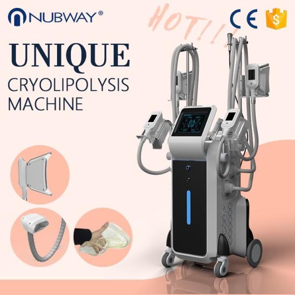 Newest Slimming Beauty Parlour Weight Loss Cryotherapy Massage Cryo Fat Freezing Aesthetic Machines
