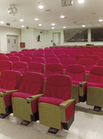 High Quality Auditorium Chair, Auditorium Seating, Theater Seating