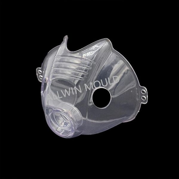 Prototype PPS Plastic Medical Injection Mold Mass Production Custom