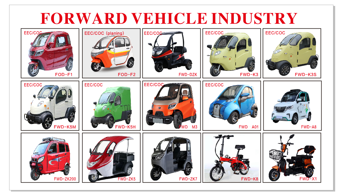 Enclosed 3 Seats Three Wheel Electric Tricycle 55km/H OEM