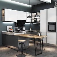 Panneau de porte Finition de style moderne Particle Board Cuisine Cabinet suspendu au mur