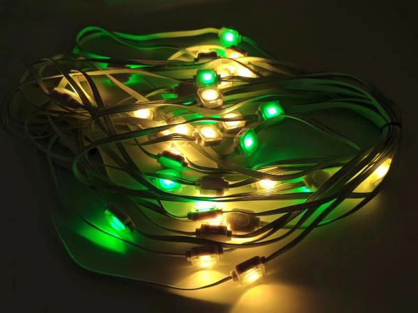 RGBW アミューズメントパーク 永久 50ft/100ft クリスマス ピクセル LED点灯 屋外装飾 ピクセル スマート イーブス ストリング
