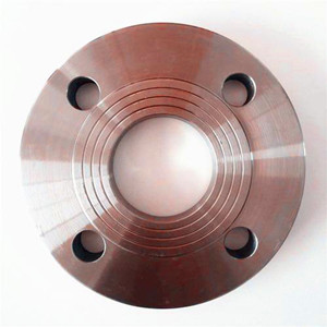 Seawater Equipment Corrosion Resistance 1/8' Ss316 Flange
