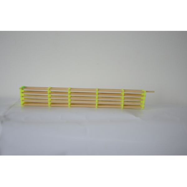 La Reine de l'apiculture élevant la reine des abeilles en bambou et en plastique élevant la cage