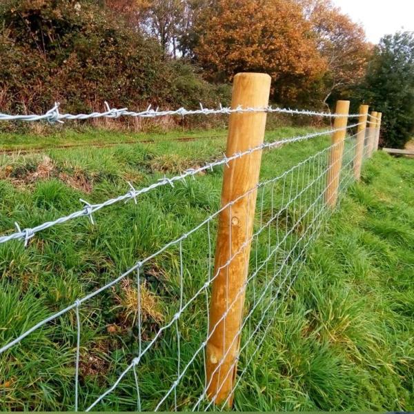 Hot Galvanized PVC Electro Galvanized Protective Construction Barbed Wire Offer Sale