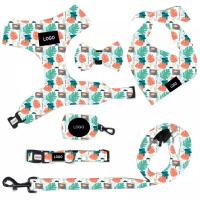 Conjunto de arreios para cães com impressão popular e moda por atacado
