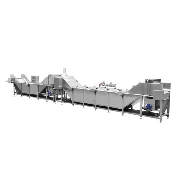 Industrial Automatic Vegetable And Fruit Blanch Potato Almond Peanut Mushroom Hazelnut Blanching Machine